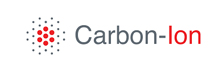 Carbon-Ion - Energy Benchmark Compliance Platform Company of the Year Carbon-Ion
