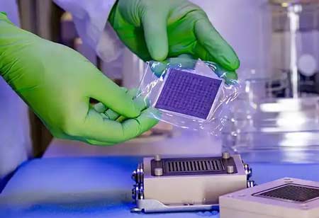 Advancing Non-PFAS Ion Exchange Membranes for Green Hydrogen