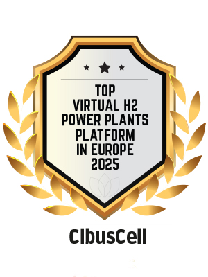 Top Virtual H2 Power Plants Platform 2025